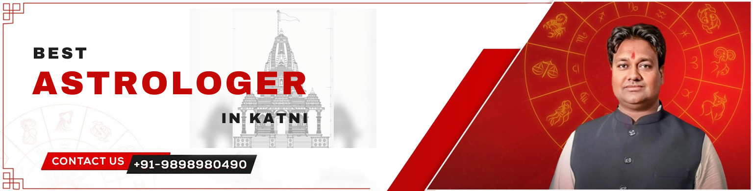 Astrologer in Katni